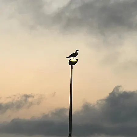 펜션 La Casa Del Moro